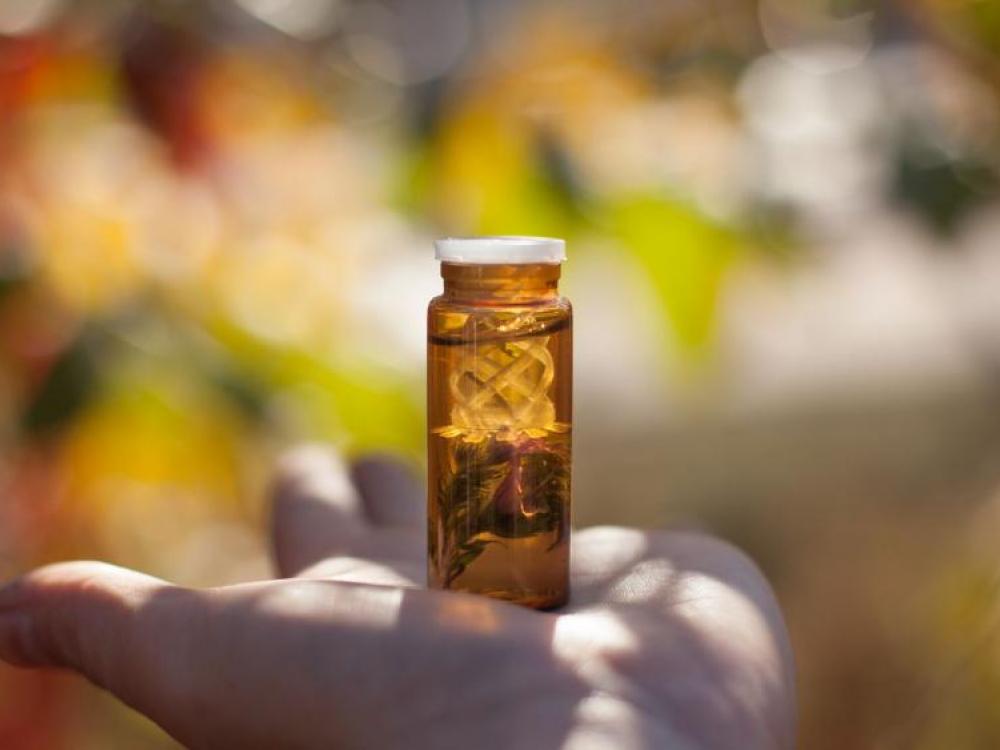 Rescue Remedy: o floral para emergências