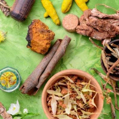 Herbalismo: o que é e para que serve?