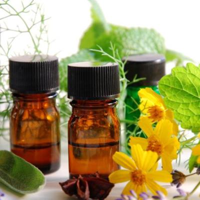 Como usar as plantas medicinais de forma correta?