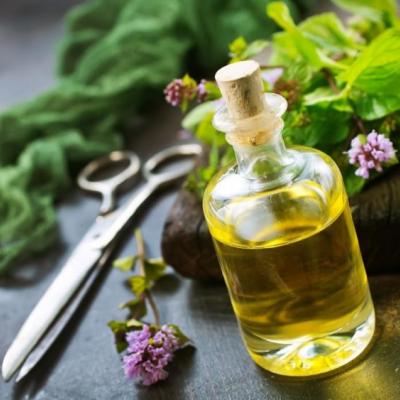 Entenda as diferenças entre fitoterápicos e plantas medicinais