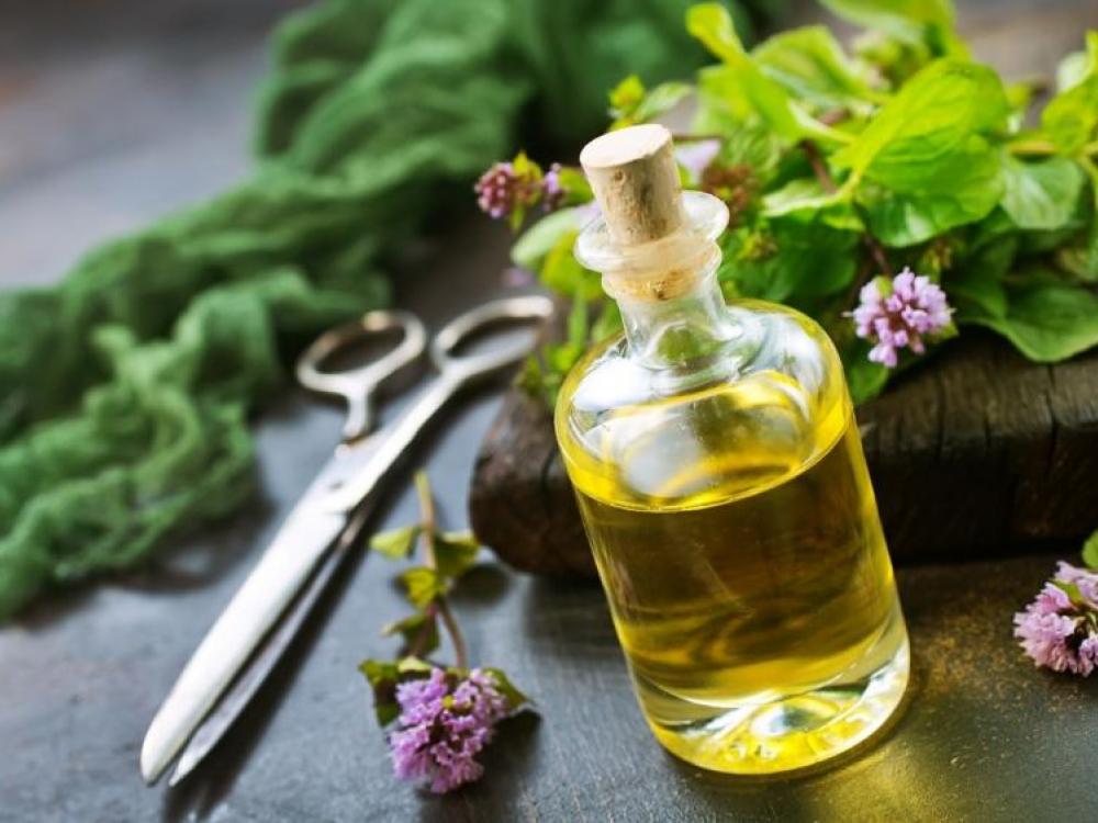 Entenda as diferenças entre fitoterápicos e plantas medicinais